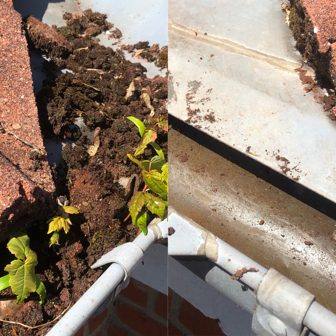 Billede af tagrende før og efter rensning for blade, mos og snavs